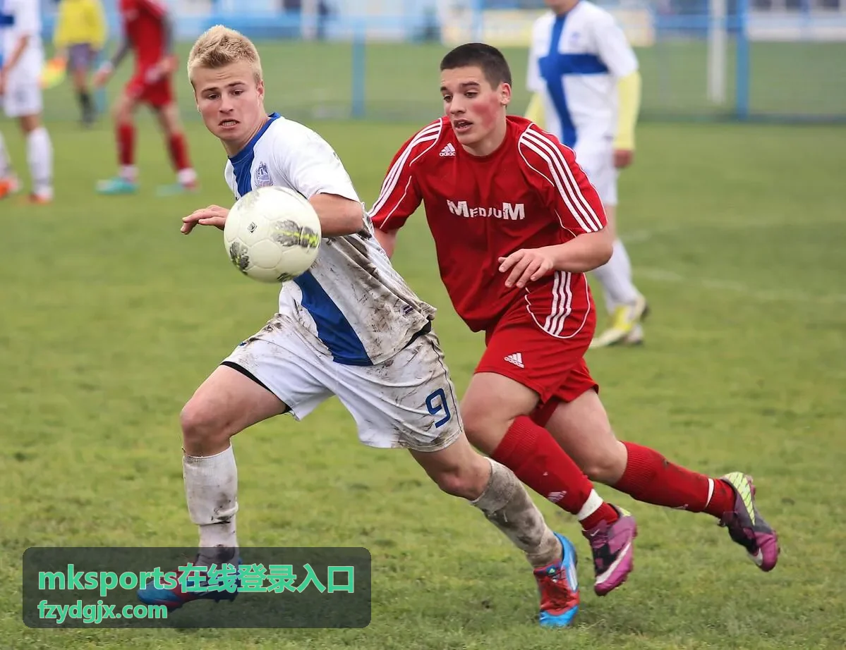 mksports在线登录入口登录通道页面展示