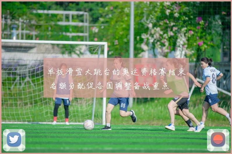 单板滑雪大跳台的奥运资格赛结束 名额分配促各国调整备战重点