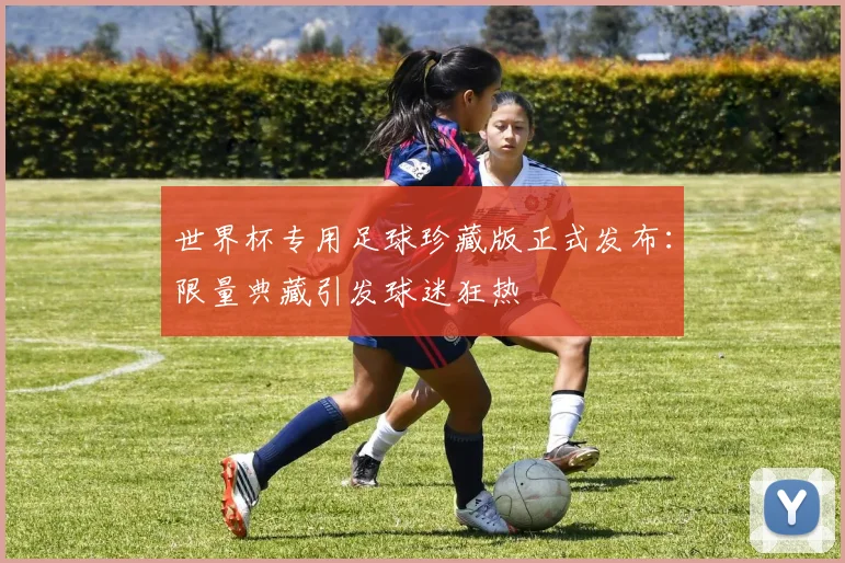 世界杯专用足球珍藏版正式发布：限量典藏引发球迷狂热