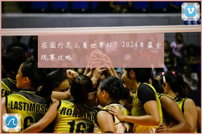 在国外怎么看世界杯？2024年最全观赛攻略