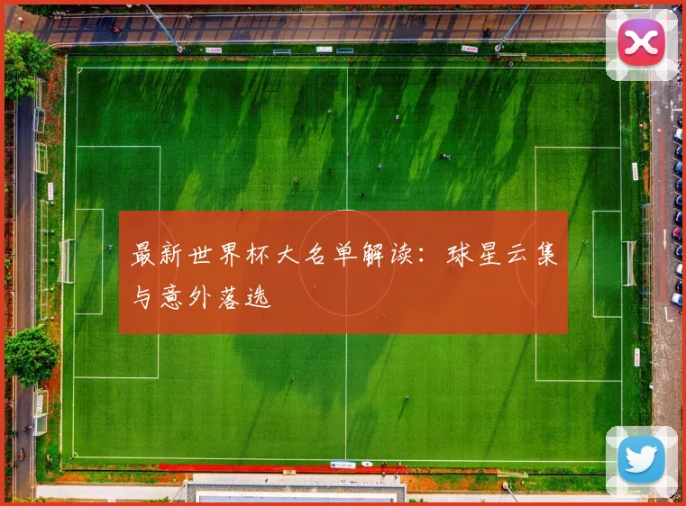 最新世界杯大名单解读：球星云集与意外落选